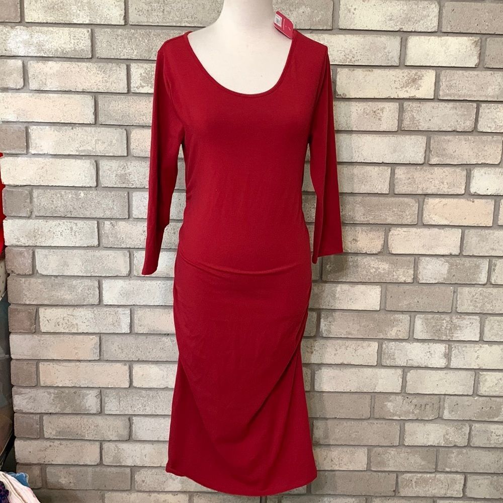 NWT maternity dress